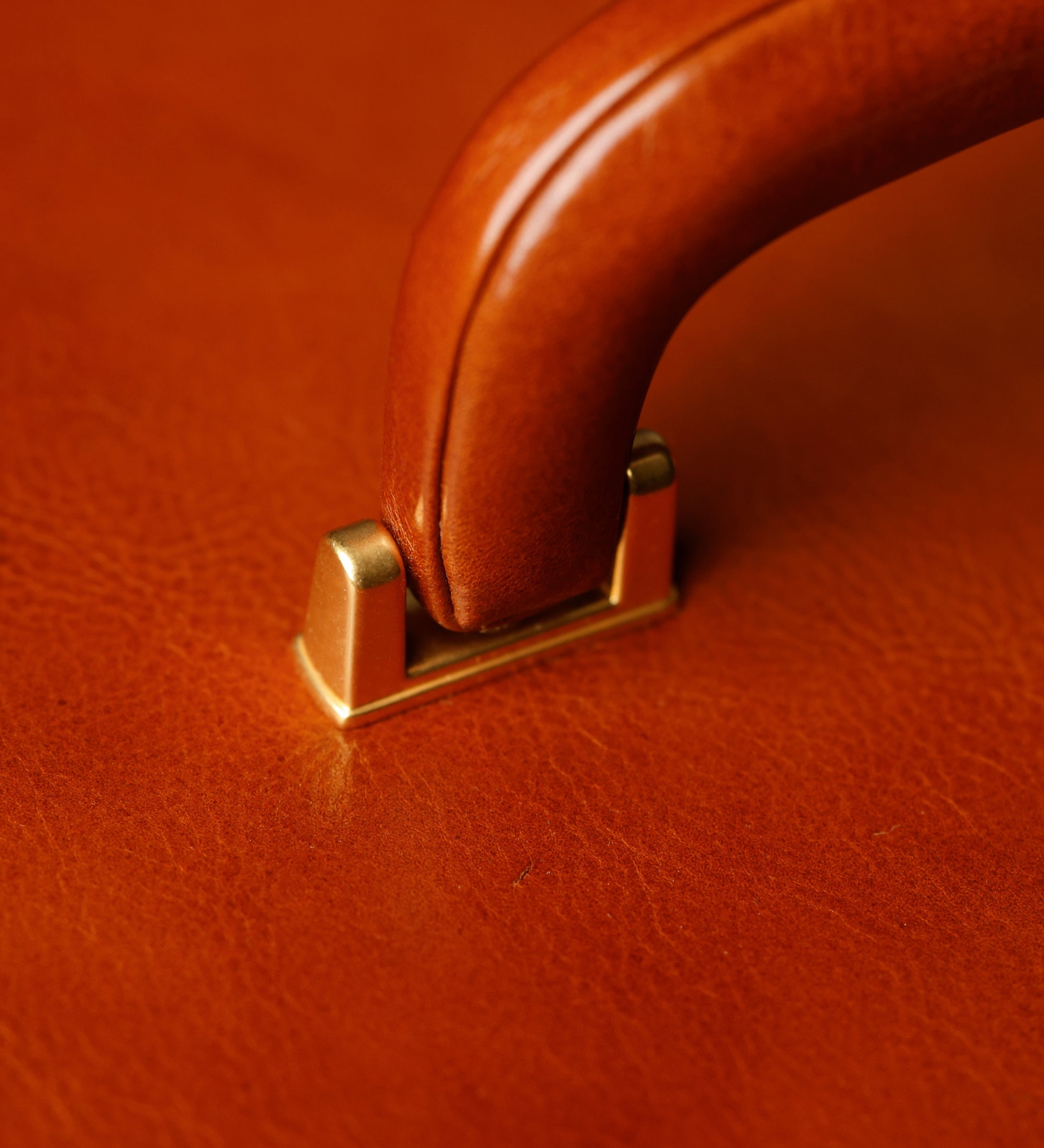 Large Leather Jewelry Box for Women - The Portrait of a Lady