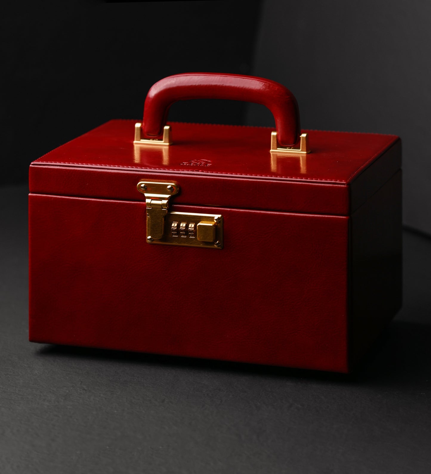 Large Leather Jewelry Box - The Portrait of a Lady