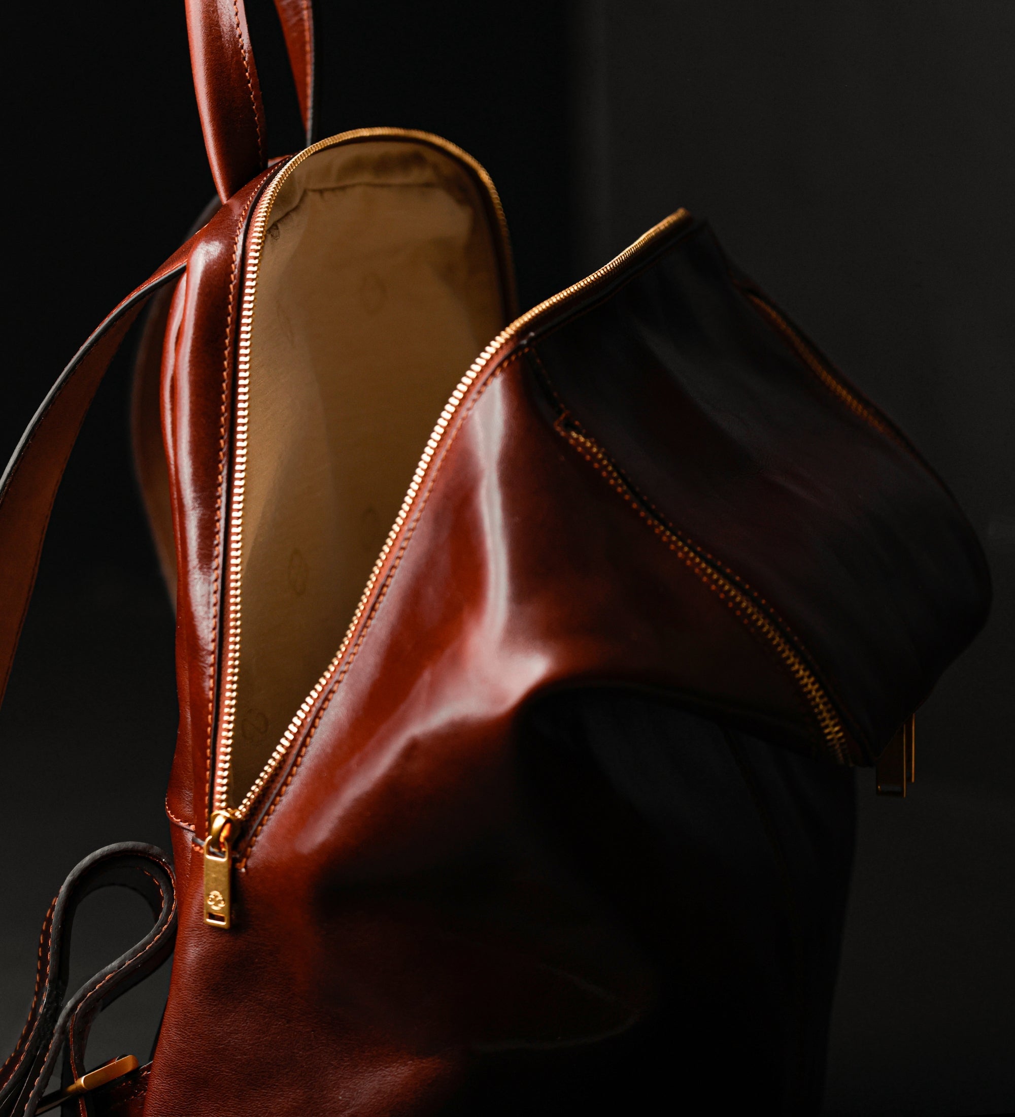 Leather Backpack - A Bend in the River