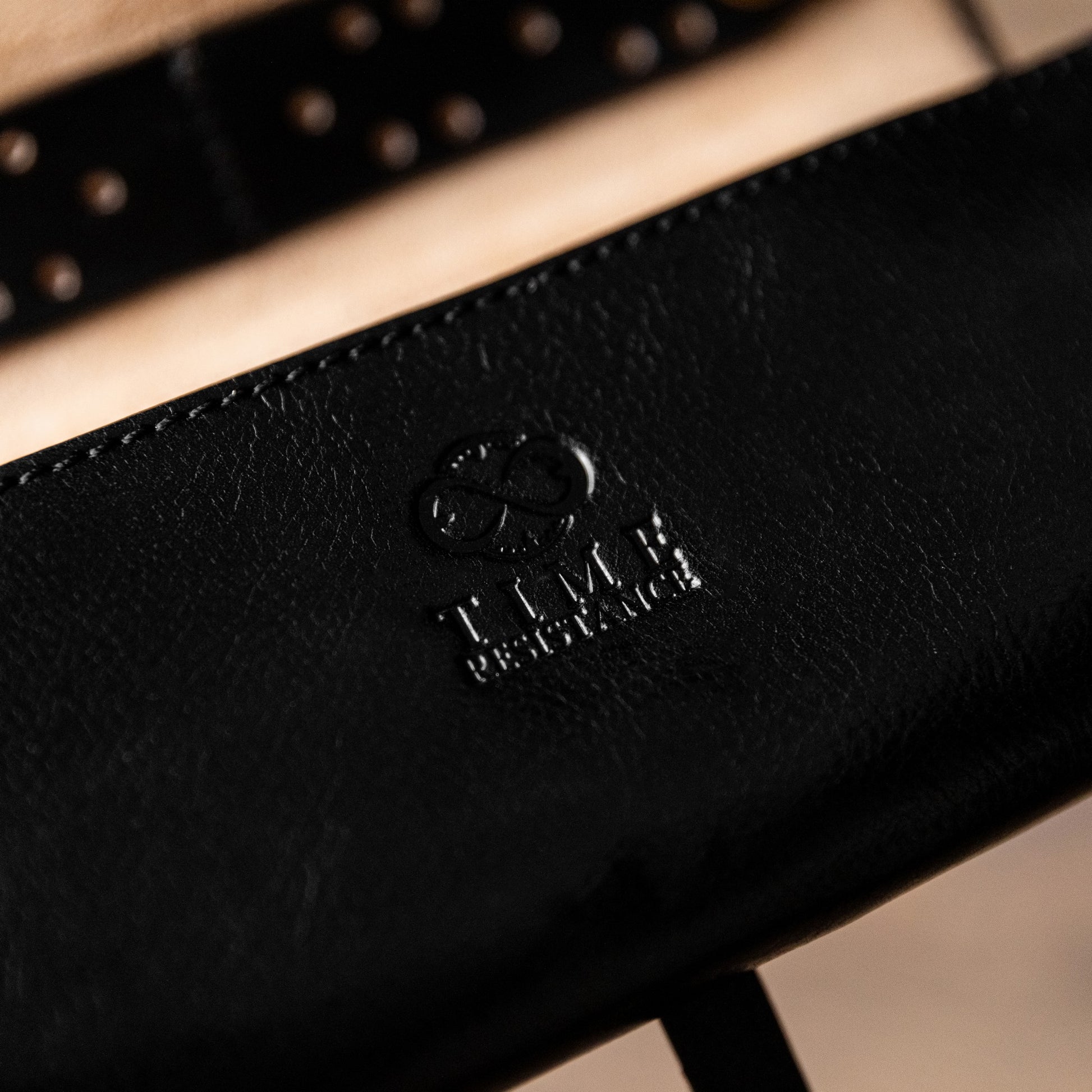 Leather Jewelry Case - Madame Bovary Accessories Time Resistance   