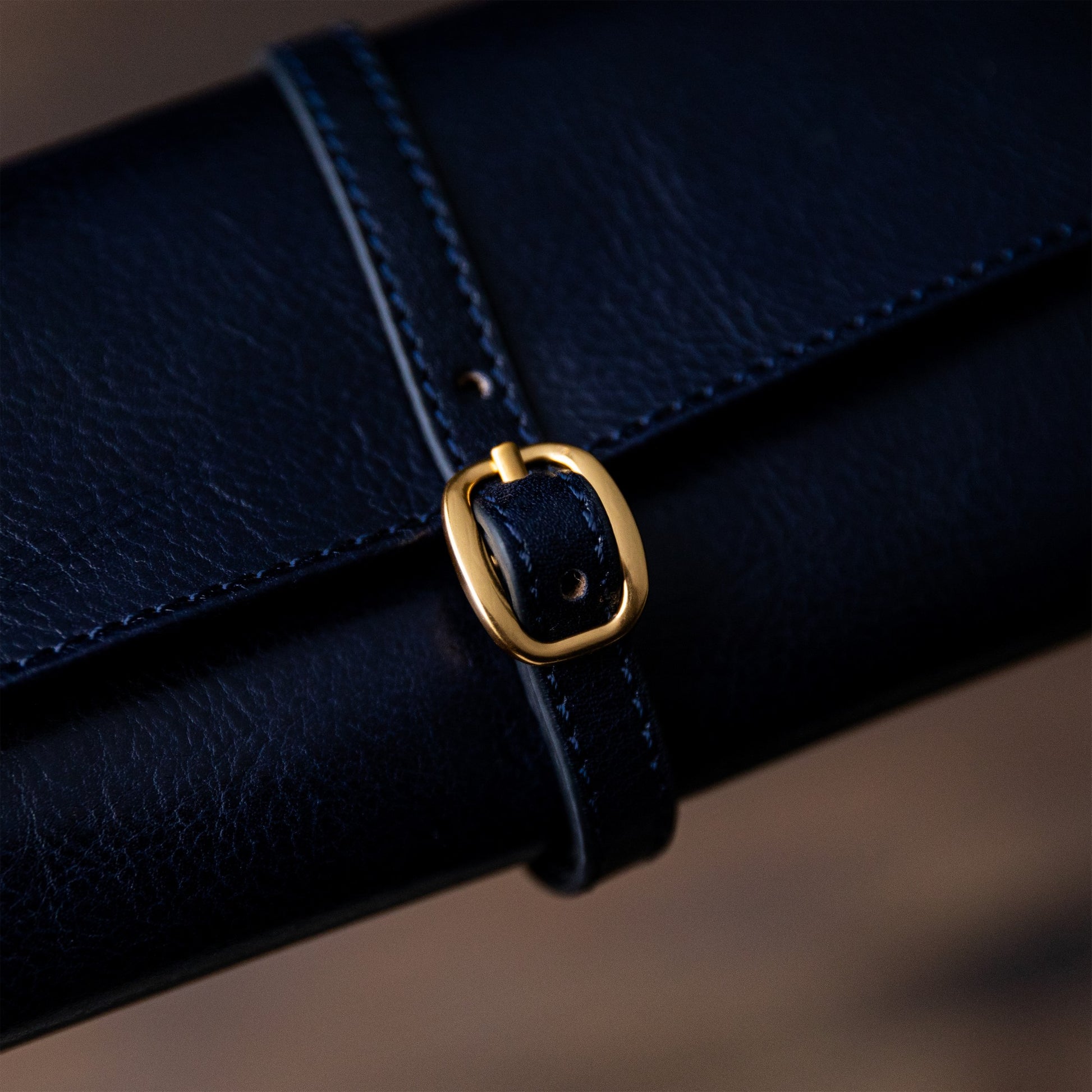 Leather Jewelry Case - Madame Bovary Accessories Time Resistance   