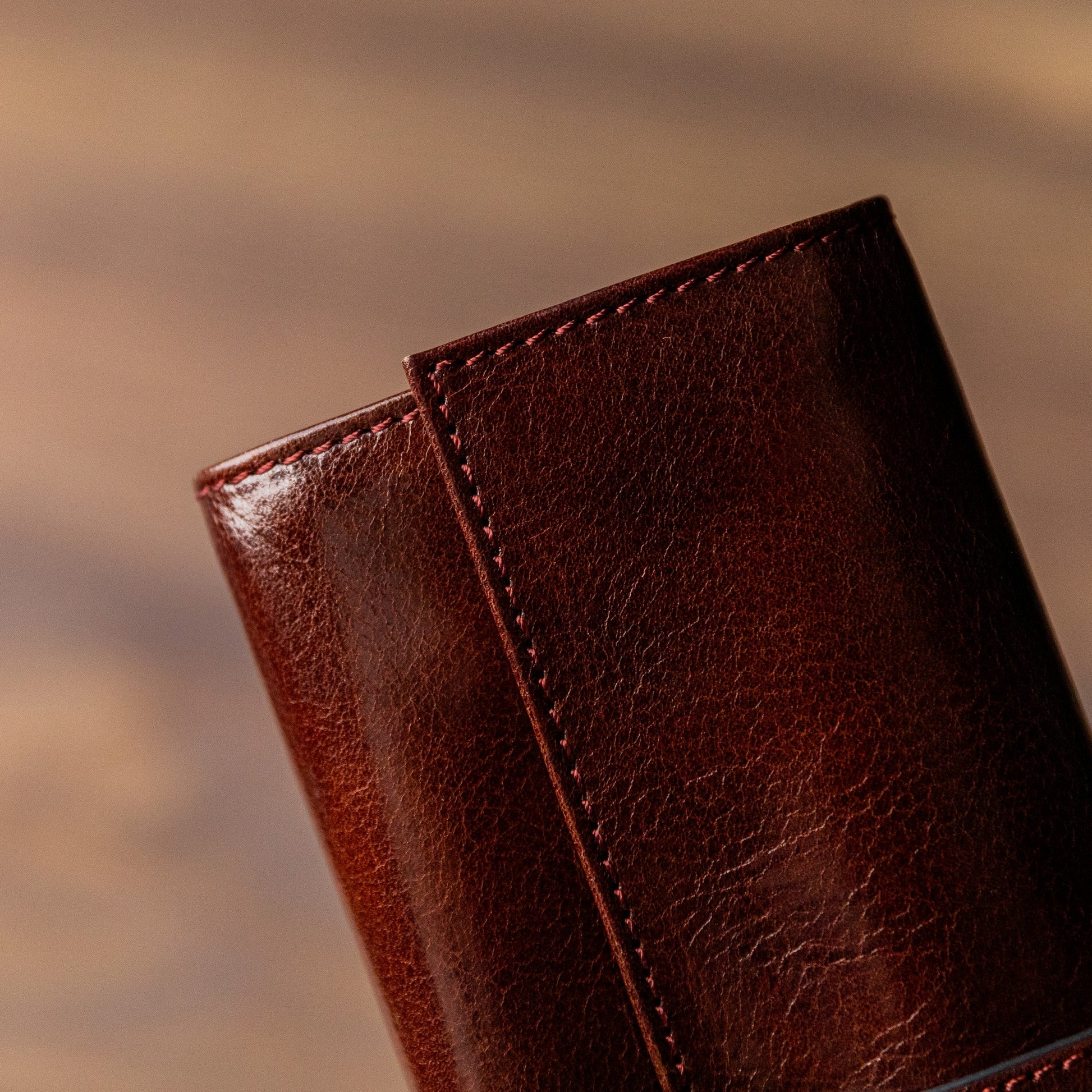 Leather Jewelry Case - Madame Bovary Accessories Time Resistance   