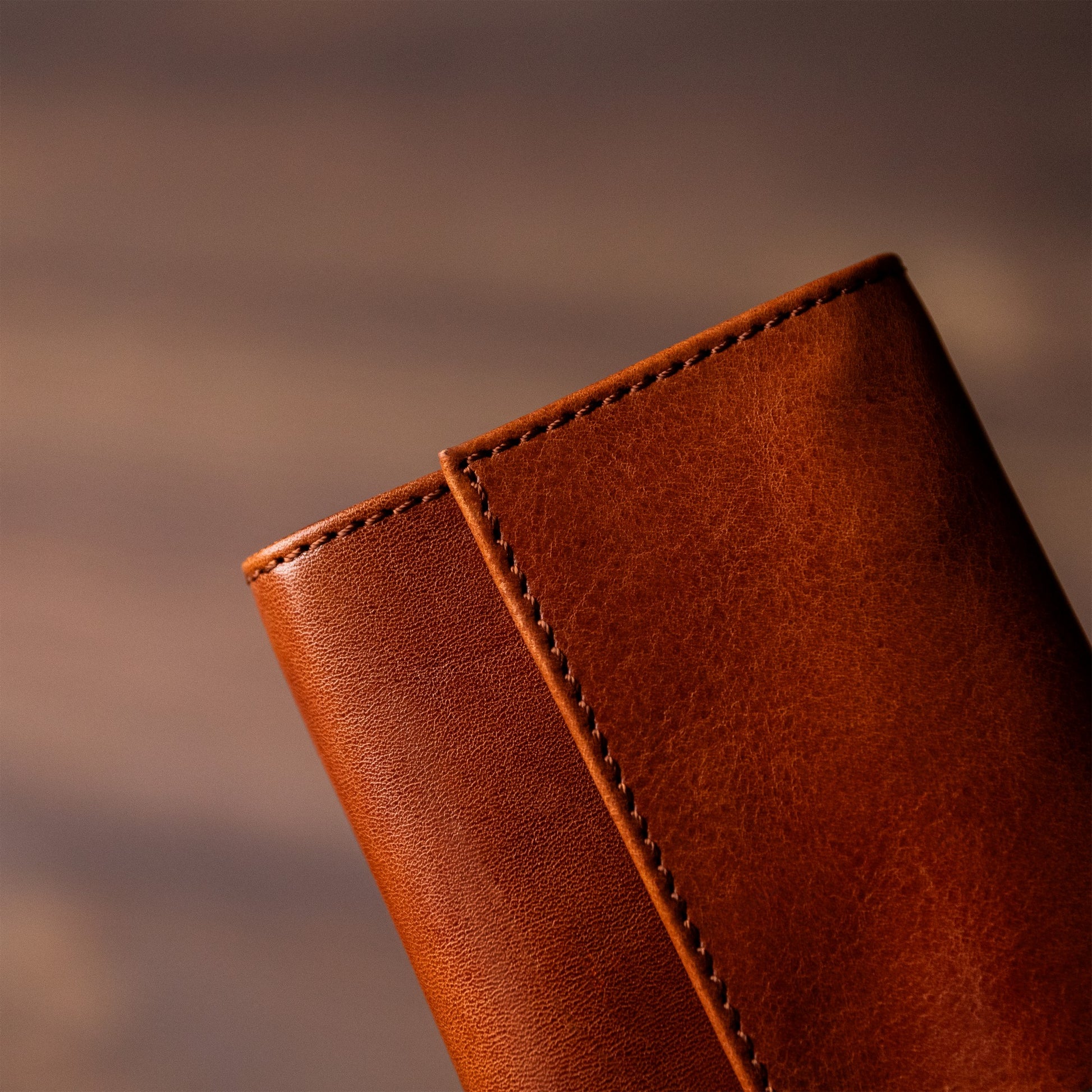 Leather Jewelry Case - Madame Bovary Accessories Time Resistance   