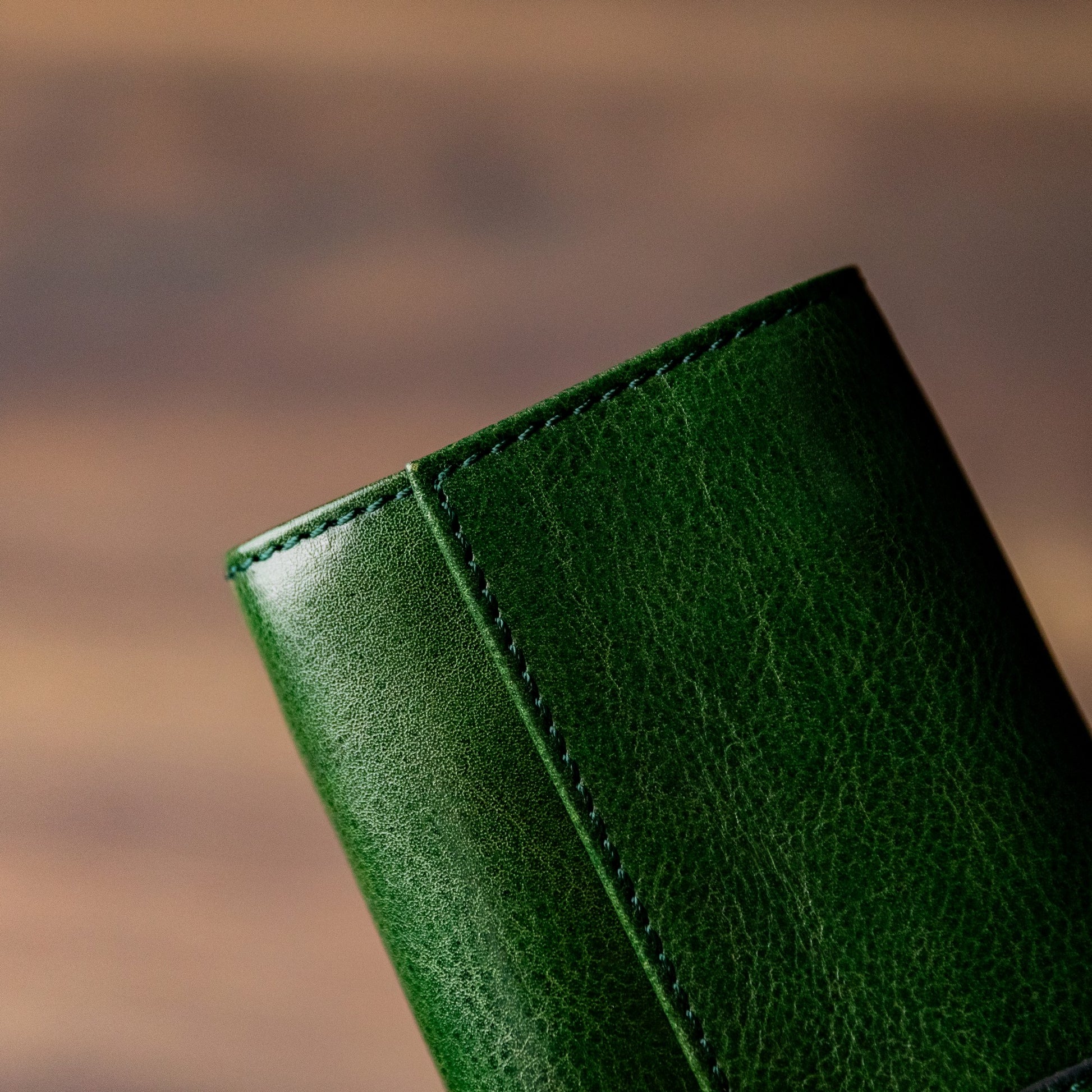 Leather Jewelry Case - Madame Bovary Accessories Time Resistance   