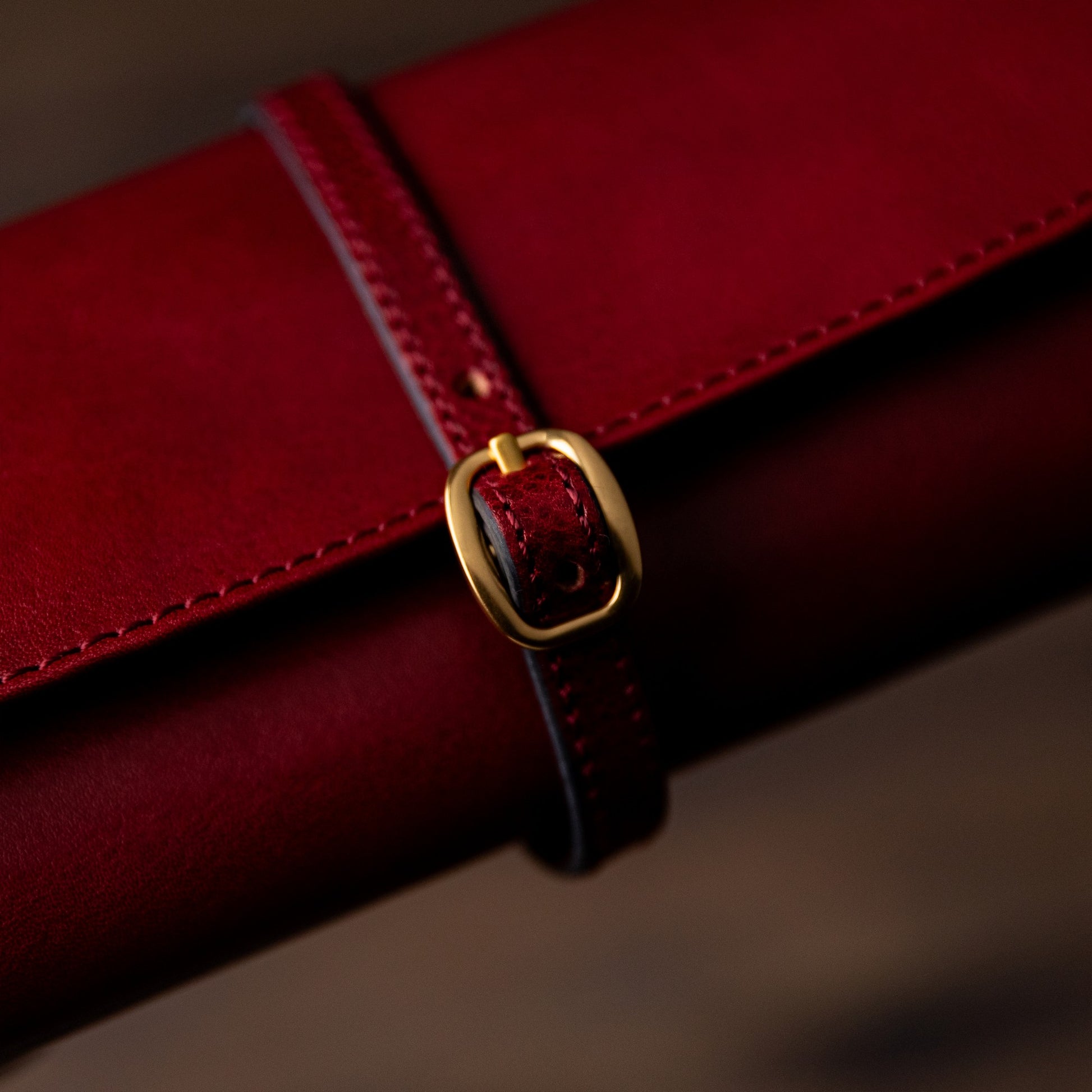 Leather Jewelry Case - Madame Bovary Accessories Time Resistance   