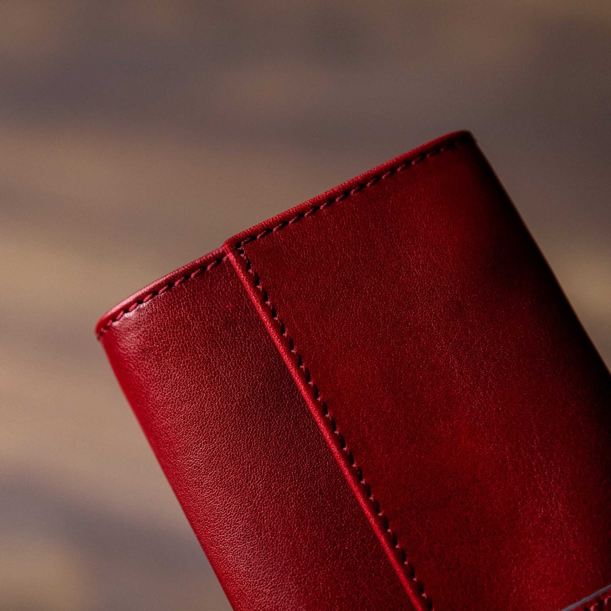 Leather Jewelry Case - Madame Bovary Accessories Time Resistance   
