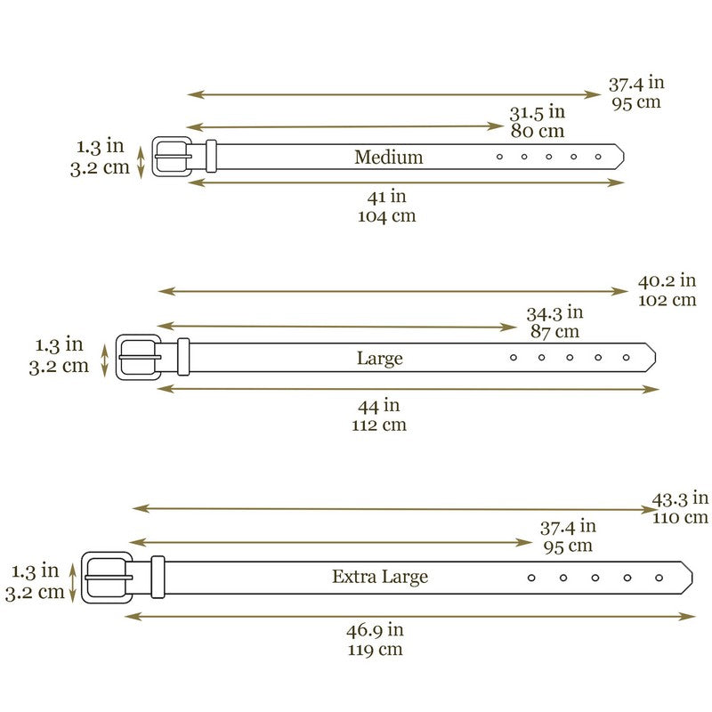 Brown Leather Belt - A Wrinkle in Time Belts Time Resistance   